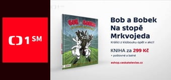 Písničky z klobouku - Písničky z jednoho města