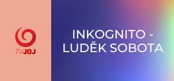 Inkognito - Luděk Sobota