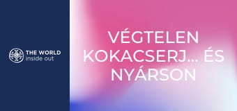 Végtelen kokacserje-ültetvények és nyárson sült tengerimalac. Bolívia.