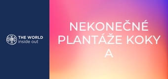 Nekonečné plantáže koky a opekané morské prasiatko na špíze. Bolívia.