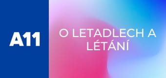 O letadlech a létání - Luboš Skládal