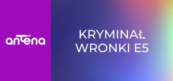 Kryminał Wronki E5