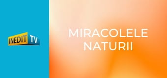 Miracolele naturii