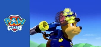 Patrula căţeluşilor Sezonul 1 Episodul 3