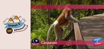 Cestování a dobrodružství, Sandakan