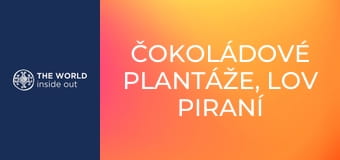 Čokoládové plantáže, lov piraní a krokodílov. Bolívia. Čokoládové plantáže, lov piraní a krokodílov. Bolívia.