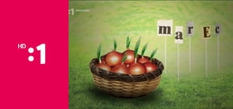 Postav dom, zasaď strom E11