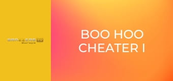 Boo Hoo Cheater I Fucked Your Roomie