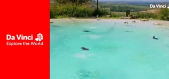 Do You Know? - Maddie The Zoo and You - How do We Move?