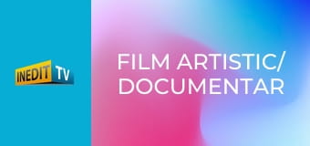 Film artistic/ documentar