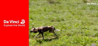 Do You Know? - Maddie The Zoo and You - How do We Communicate?