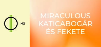 Miraculous Katicabogár és Fekete Macska kalandjai - Paparazzo