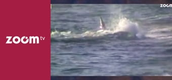 Dzika przyroda na żywo S1E9