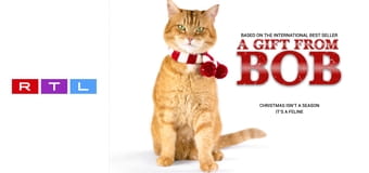 Bob, az utcamacska karácsonya