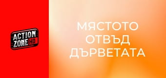 Мястото отвъд дърветата