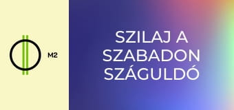 Szilaj a szabadon száguldó - Lucky és a lány, aki farkast kiáltott