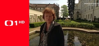 13. komnata Hany Třeštíkovej