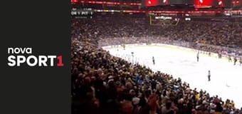 NHL: Pittsburgh Penguins - Toronto Maple Leafs
