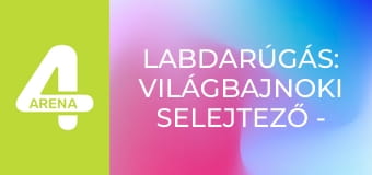 Labdarúgás: Világbajnoki selejtező - Dánia – Észak-Macedónia