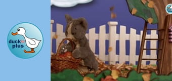 Enchanting Sights Enchanting Sights