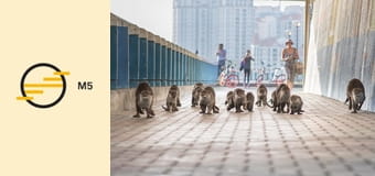 Vad vidékek - Metropolisz E1 - Városlakók