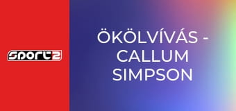 Ökölvívás - Callum Simpson - Troy Williamson