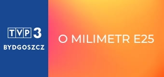 O milimetr E25