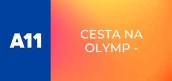 Cesta na Olymp - z Paříže do Cortiny - Martina Dubovská, lyžařka