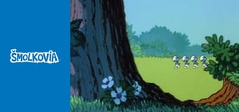 Polievka Zo Šmolkou / Polievka Zo Šmolkou