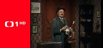 Šplhající profesor