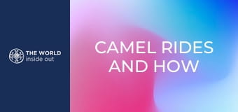 Tevegelés és a mongolok titka – hogyan élik túl a hideget? Kína.