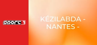 Kézilabda - Nantes - One Veszprém