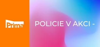 Policie v akci - Zloděj spodního prádla / Znalec / Prasklý chladič / Domácí násilí naruby