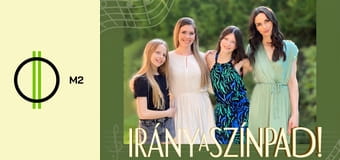 Irány a színpad! - Nincs hangom!