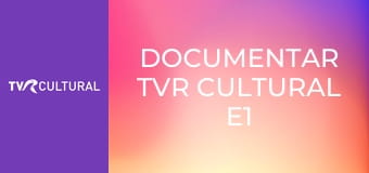 Documentar TVR Cultural E1 - Intervenţie de urgenţă