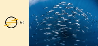 Átalakulóban a mediterrán élővilág - Felnőtté válás