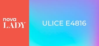 Ulice E4816