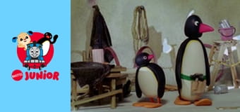 Pingu Sezonul 5 Episodul 8