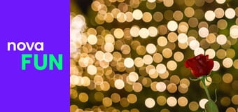 Bachelor Česko S2E8