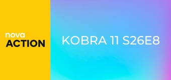 Kobra 11 S26E8