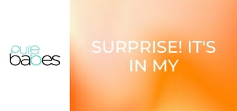 Surprise! It's In My Butt E378