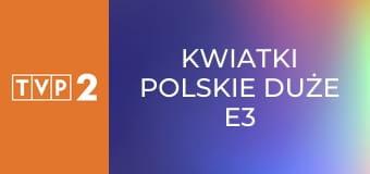 Kwiatki polskie duże E3