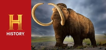 Tajemnice skute lodem S4E7 - Pole bitwy epoki lodowcowej