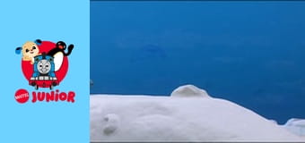 The Pingu Show Sezon 1 Episod 39