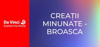 Creații minunate - Broasca ţestoasă