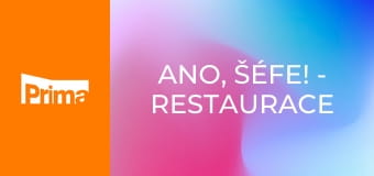 Ano, šéfe! - Restaurace Nová Hospoda – Zásmuky
