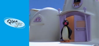 Pingu Sezon 6 Odcinek 9 Pingu Sezon 6 Odcinek 9