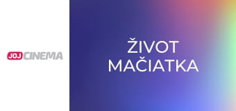 Život mačiatka