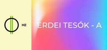 Erdei tesók - A vakáció