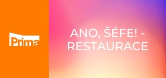 Ano, šéfe! - Restaurace Mlýnský domov – Jinočany